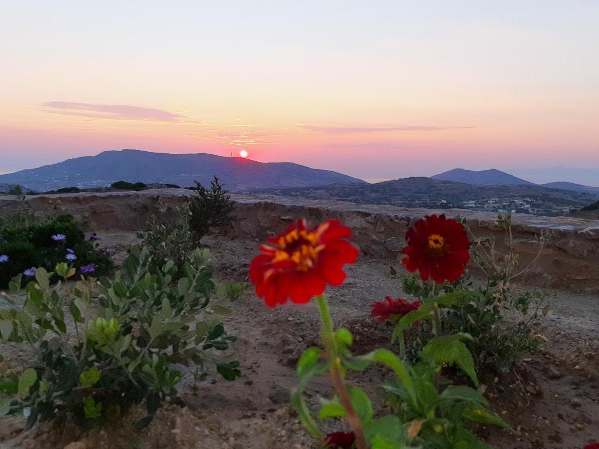 Villa Adeiata Adiata Экстерьер фото