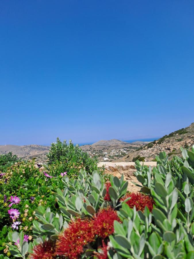 Villa Adeiata Adiata Экстерьер фото